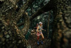 BIB: 
                            <button type="button" onclick="openModal(25702558)" class="btn btn-primary btn-sm float-right btn-popup" data-toggle="modal" data-target=".modal-high-quality">
                        <i class="fas fa-shopping-cart"></i> Add to Cart
                    </button>
                                            <button type="button" onclick="isThisMe(25702558, true)" class="btn btn-success btn-sm float-right btn-popup btn-isme hidden" data-toggle="tooltip" data-placement="bottom" title="นี่คือรูปของคุณใช่ไหม คลิกที่นี่เพื่อเอาเข้าอัลบั้ม">
                        <i class="fas fa-plus"></i> Add to album
                    </button>
                    <button type="button" onclick="isThisMe(25702558, false)" class="btn btn-warning btn-sm float-right btn-popup btn-isnotme hidden">
                        <i class="fas fa-ban"></i> Remove from album
                    </button>